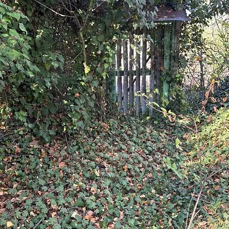 Luksustelt Shelter House 1 1 Bed, No Water, Wc Is Outhouse, Dirt Road, Dog In The Garden, Genius Points Welcome! къща за подслон в казанлък, без вода!